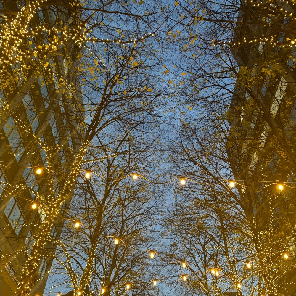 Meet your Posher, Sydney